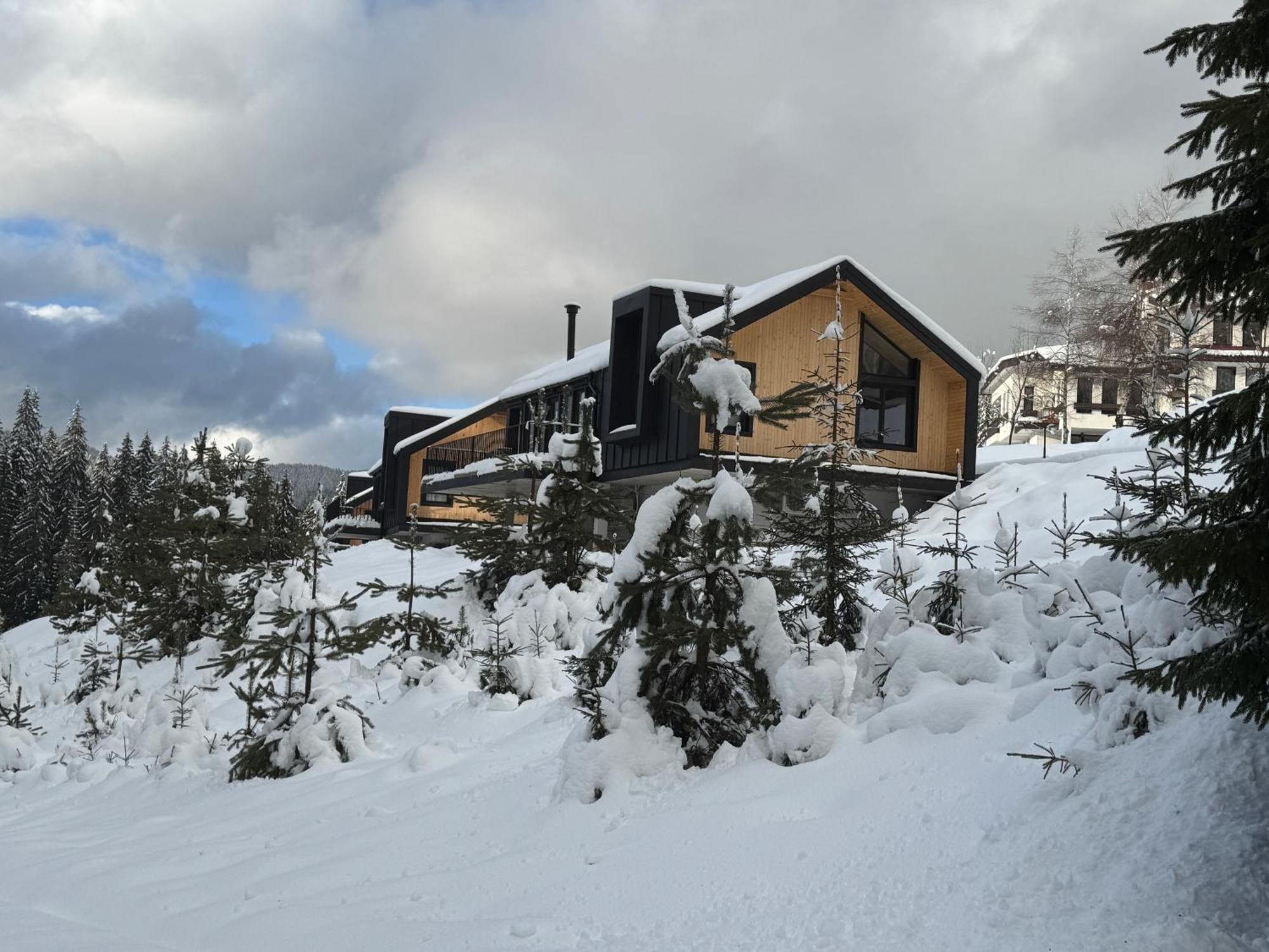High Five Villas Pamporovo Luaran gambar